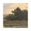 Landscape & Nature Painting