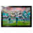 NFL Miami Dolphins