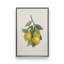 «Lemon Harvest II», reproduction sur toile-1745166279-1745166280