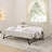 Daybed With USB Charging, Pull-Out Extendable Bed, And Elegant Waved Shape Arms For Modern Comfort And Functionality-732473639-727184390