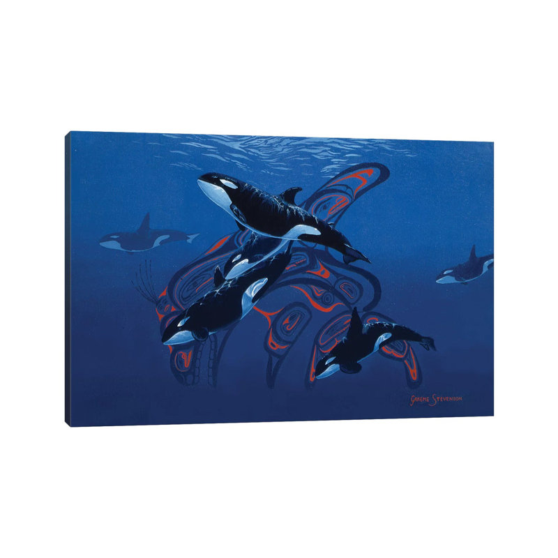 Orca Days by Graeme Stevenson - Wrapped Canvas Print, 20.32 cm H x 30.48 cm W