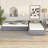 Upholstered Double Daybed with Trundle and Drawer-1430117700