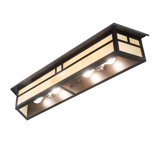2 - Light Vanity Light