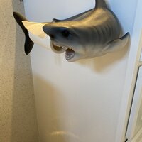 Shark Attack Bathroom Toilet Paper Holder - Design Toscano