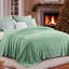 Couverture en flanelle brossée grand vert d'hiver-116843135-116843132