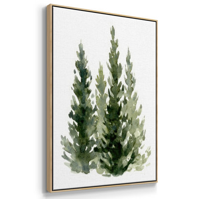 " Simple Evergreens II "