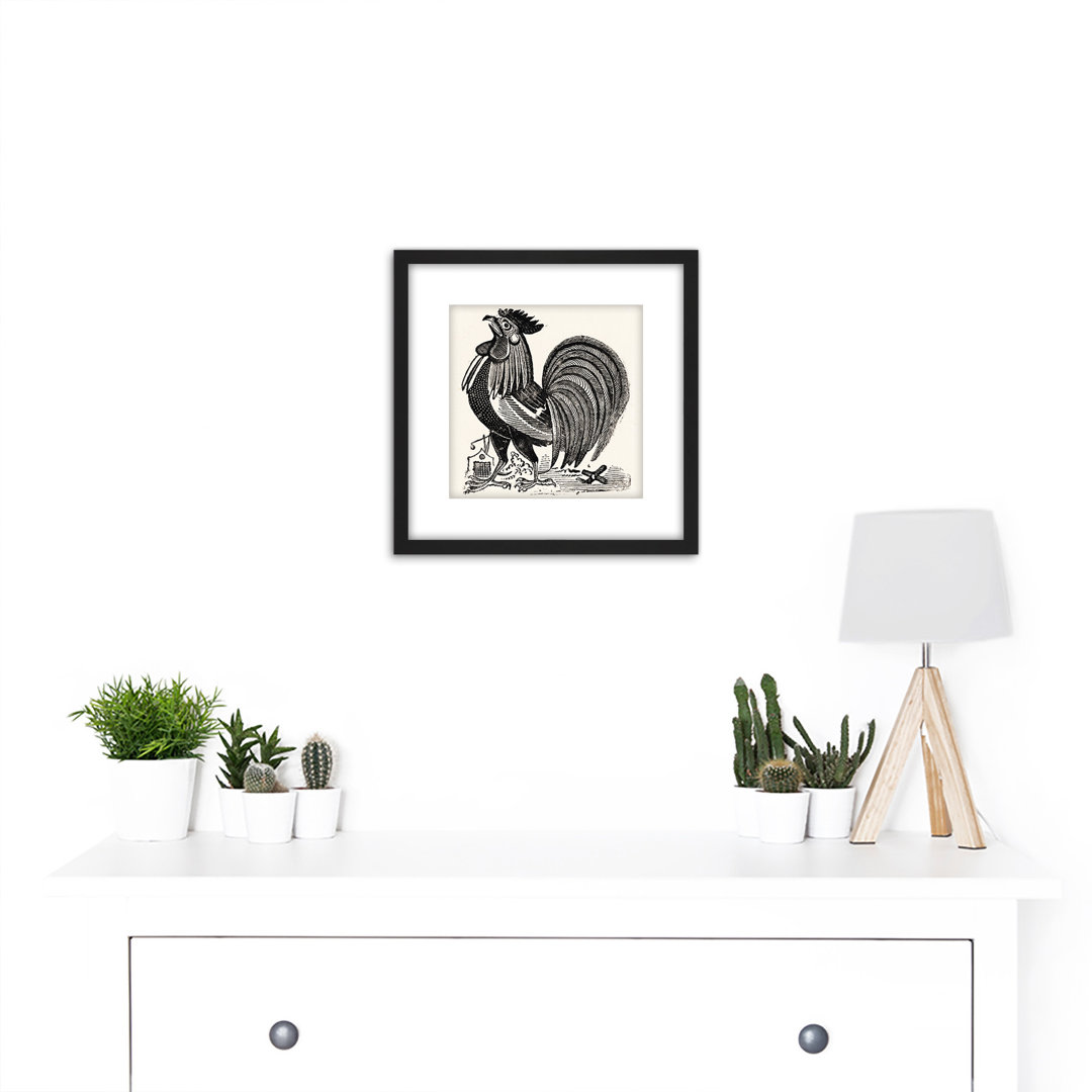 Rooster Chicken Cock Engraving Drawing by Posada - Single Picture Frame Print