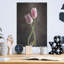 «Spring Tulips V» par Debra Van Swearingen-1634549750