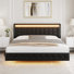 Ensemble de chambre à coucher 3 pièces, cadre de lit flottant avec tête de lit éclairée et 2 commodes doubles à 6 tiroirs