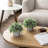2 Piece Faux Eucalyptus Artificial Plants in Cement Pots	