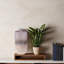Vase électrique-715475824