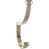 Brushed Satin Nickel