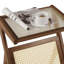 Gemmenne Glass Tray Top End Table-1795662865