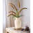 Beige rustique