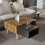 Oberon 17cm H x 90cm W Coffee Table-1431521380