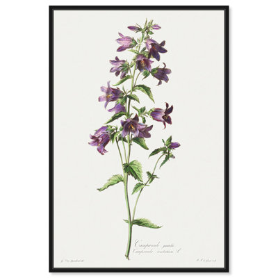 Art Remedy, impressions sur toile, Campanule Gantelee