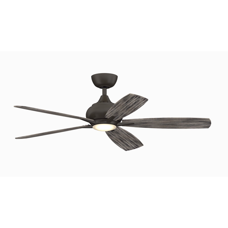 Doren 52'' Ceiling Fan with LED Lights