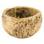 Noix de coco maya entièrement naturelle, séchée-1574120563
