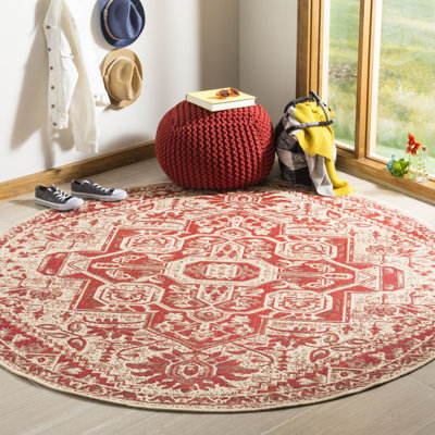 Donivin 100 Performance Oriental Indoor/Outdoor Area Rug