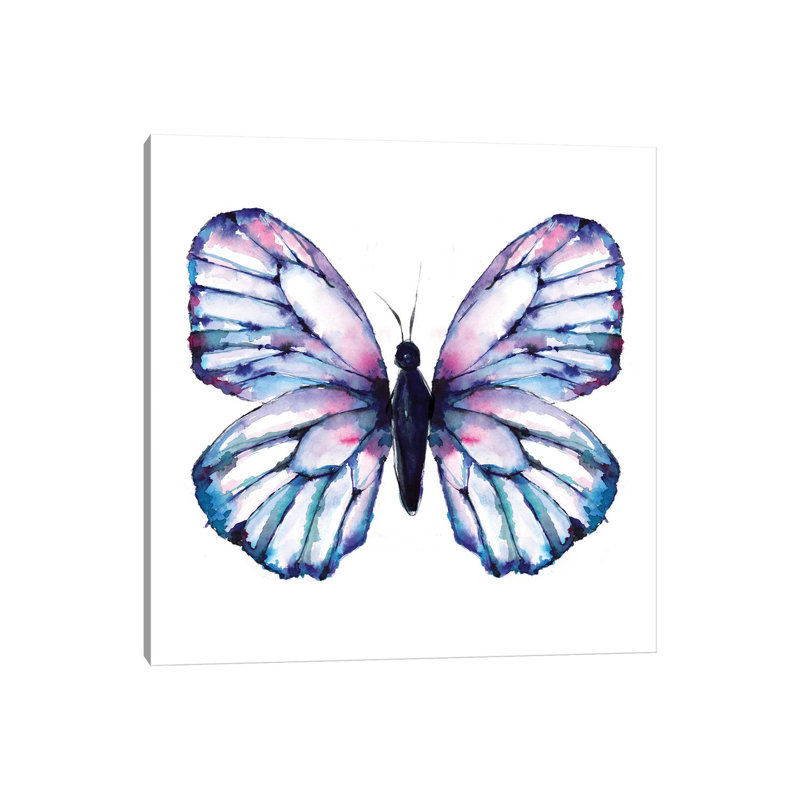Butterfly Iridescent by Sara Berrenson - Print on Canvas, Wrapped Canvas, 93.98 cm H x 93.98 cm W
