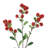 Berry Arrangement-1896194787