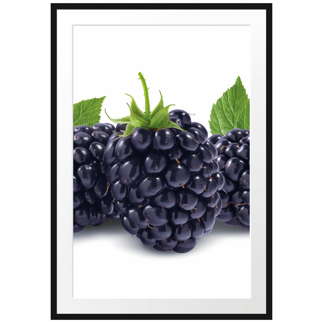 Gerahmtes Poster Leckere Brombeeren