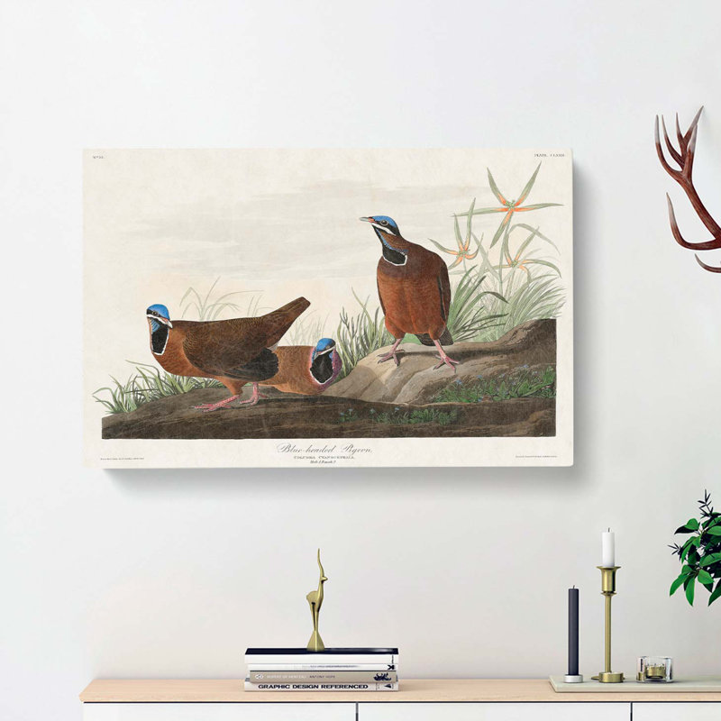 Blue-Headed Pigeons by John James Audubon - Wrapped Canvas, 40cm H x 60cm W x 3cm D