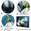 «Winter Snowdrop Flower Photographie III - Snowdrops», ensemble d'art mural-1097833063