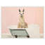«Charme Boho Cottage Farmhouse Llama in Bathaign» par The Creative Bunch Studio, reproduction d'art sur toile encadrée
