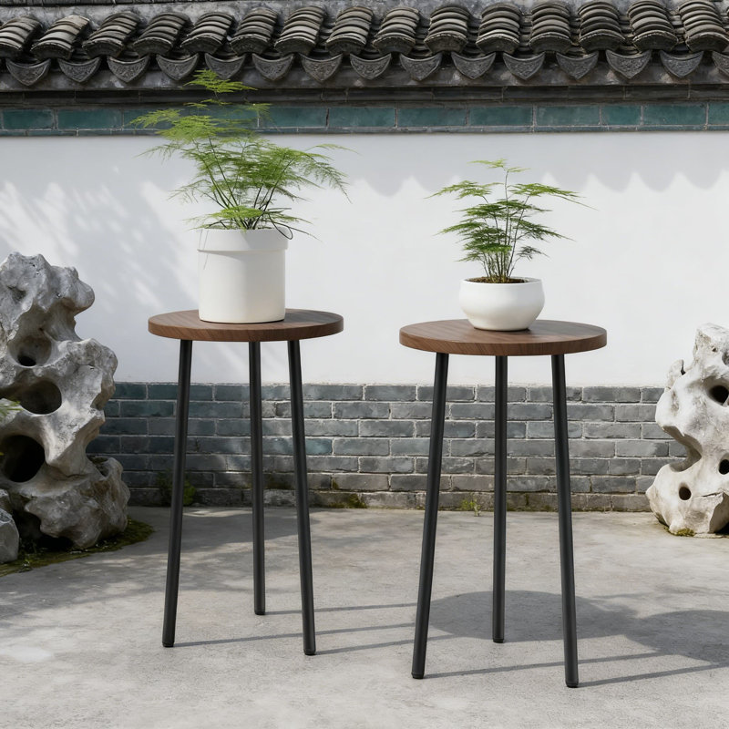 Ensemble de 2 plantes Mid-Century Modern