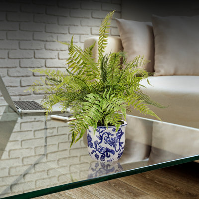 20'' Faux Mixed Fern Arrangement in Pot