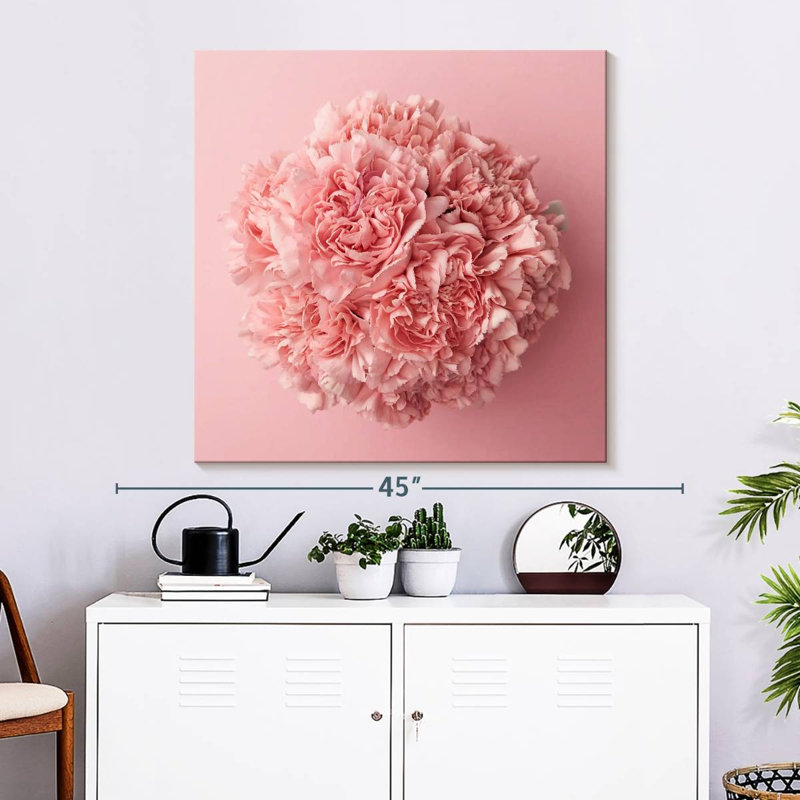 Œillet Harnek rose, H 33 po x l 33 po