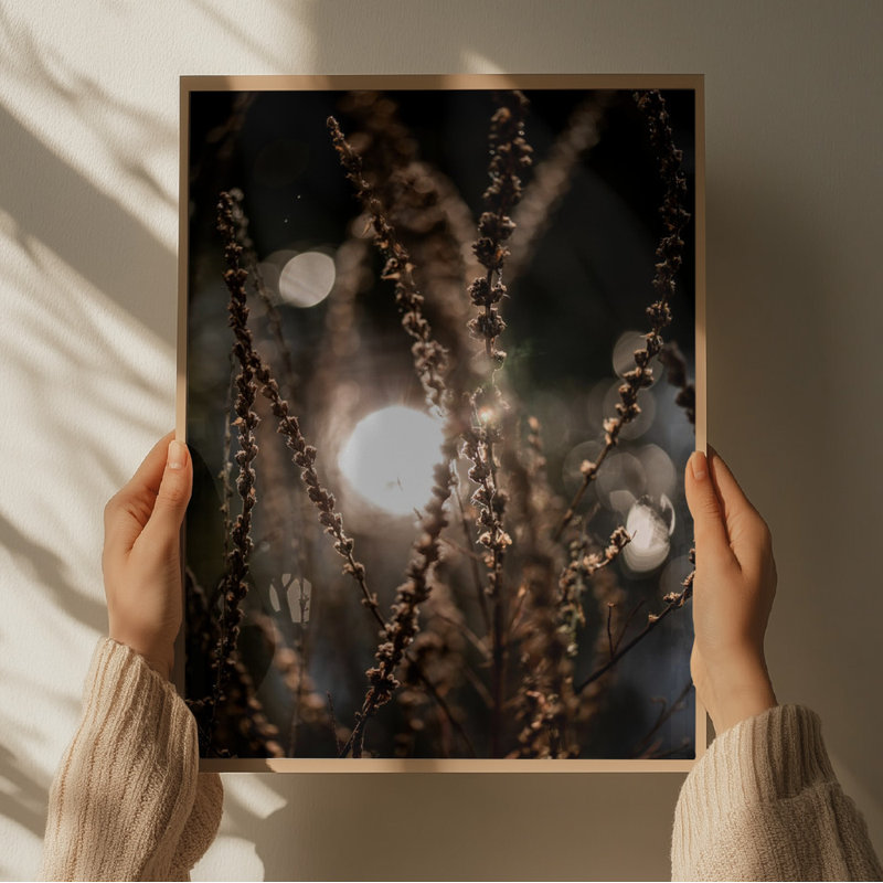 Wrapped Canvas Print, 60.96 cm H x 91.44 cm W