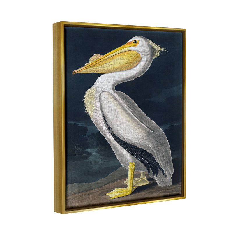 «Highland Dunes Pelican On Night Shore», art mural encadré sur toile flottante par Incado, H 20 po x l 16 po x P 1,7 po