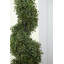 Topiaire de buis 36 po en pot