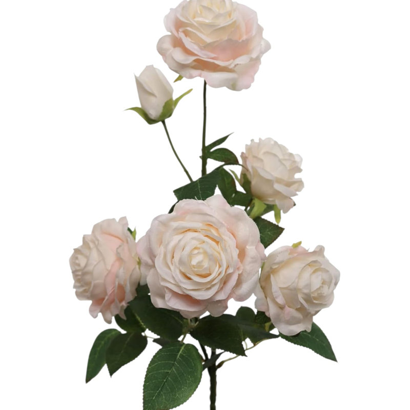 Rose 27 po - 5 fleurs et 1 bourgeon-3