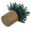Faux plantes artificielles en pot d'eucalyptus