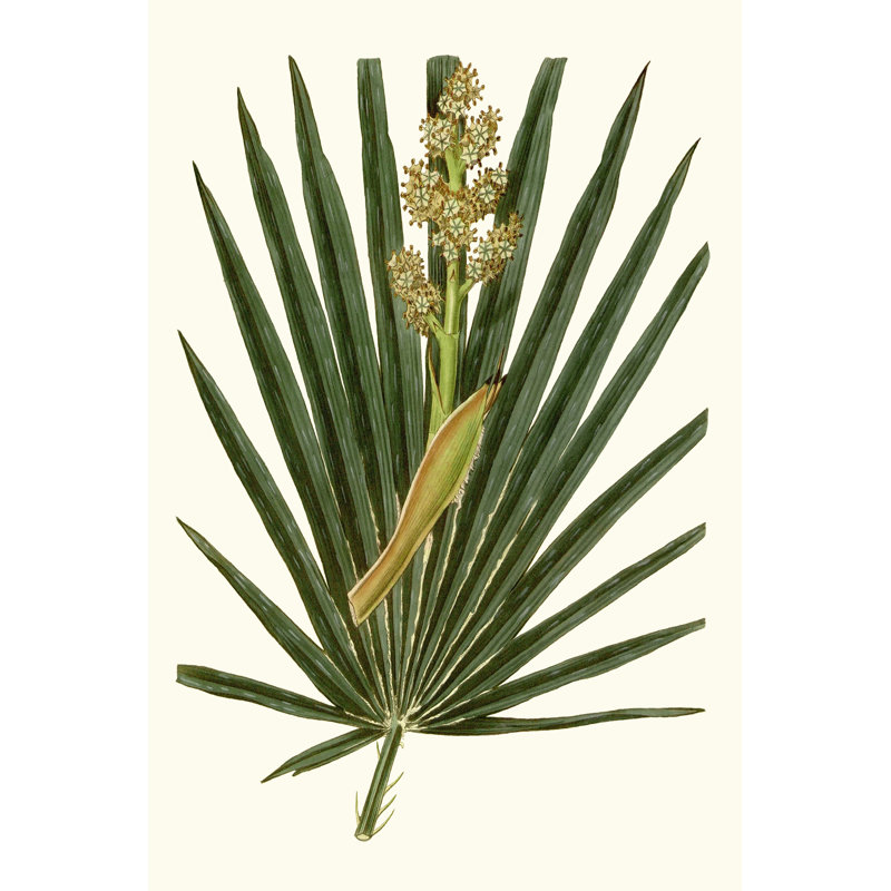 Grand Foliage II - Painting, 122cm H x 81cm W, Black Floater Framed