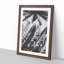 Palm Tree Shadows - Framed Print-55577939-55577936