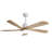 Damecia 52'' Ceiling Fan with LED Lights-1444270906