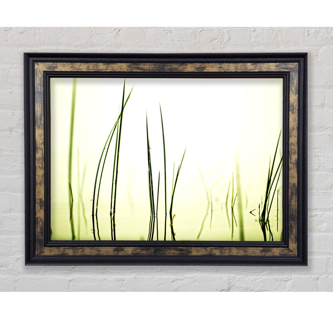 Kunstdruck Water Grass