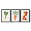 Organic Veg II - impression encadrée de qualité supérieure sur mesure mat - 3 pièces-504725490-504725488