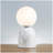 Frosted Glass Globe Table Lamp