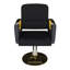 Fauteuil de coiffeur pivotant à 360 ° avec pompe - Fauteuil de coiffeur professionnel noir doré