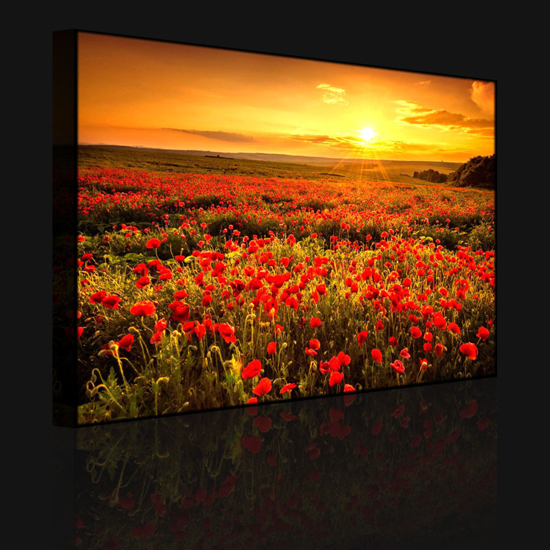 Poppy Flower Field At A Dreamlike Sunset by No - Wrapped Canvas Print, Without lighting, 40cm H x 60cm W x 4.5cm D