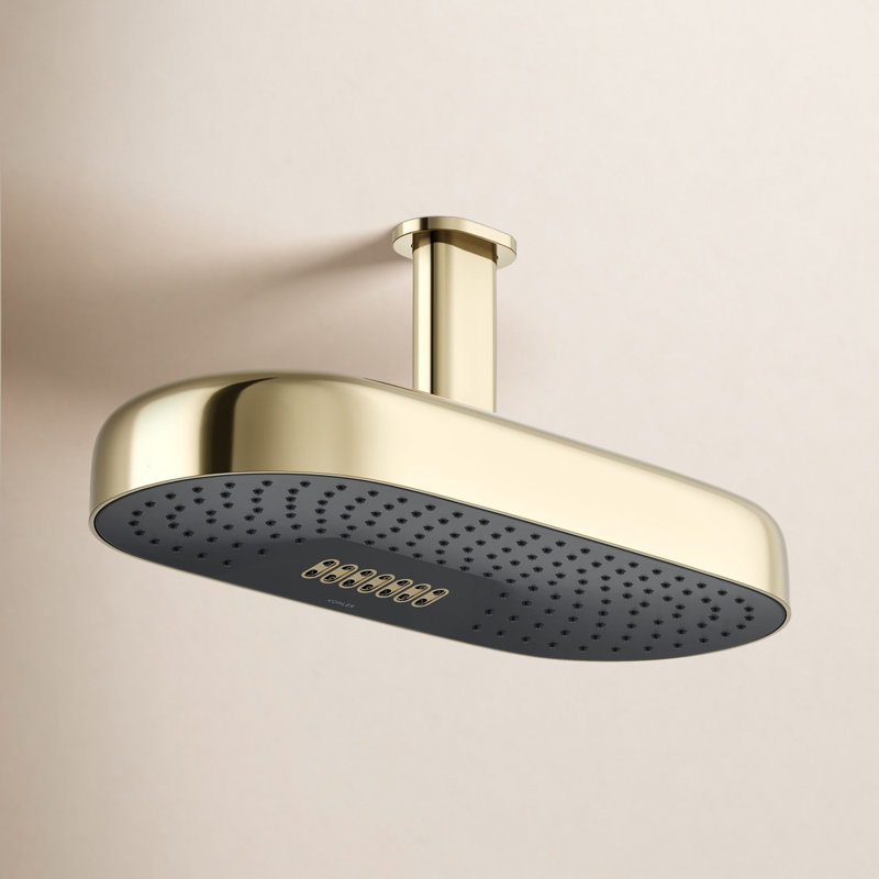 Tête de douche oblongue de 18 po 2,5 GPM, Or éclatant de style français