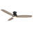 60'' Ceiling Fan with LED Lights-1950286666