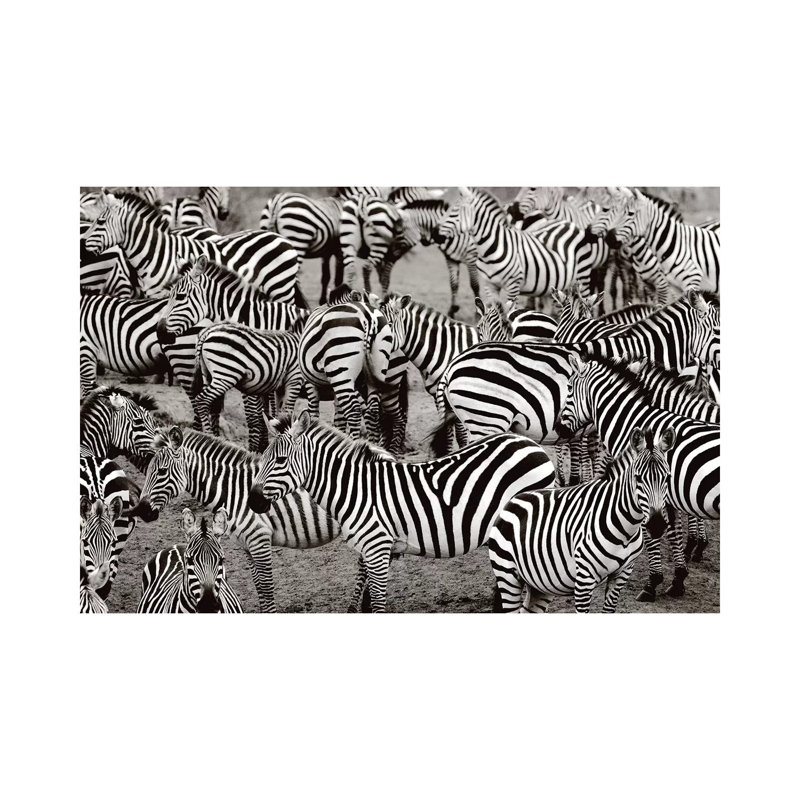 Zebra Abstraction by Jorge Llovet - Wrapped Canvas Print, 66.04 cm H x 45.72 cm W x 1.91 cm D