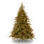 Jersey Fraser Fir Medium Tree with Dual Color LED Lights-1937365294