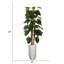 Plante lierre artificielle 86 po Panama
